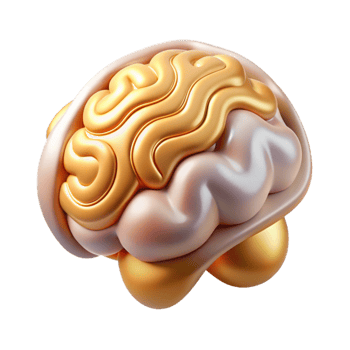 beautiful traditional Brain Neurology Icon Cutout for Medical Research high quality png