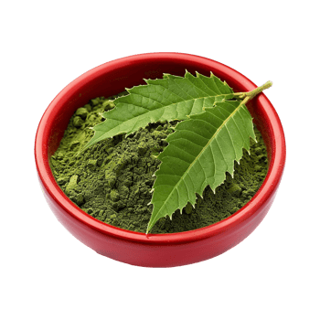 A red bowl filled with vibrant green neem powder and fresh neem leaves png