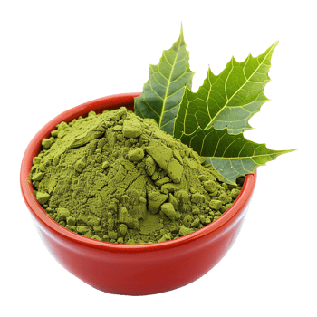 Organic Neem Powder in a Red Bowl with Fresh Neem Leaves png