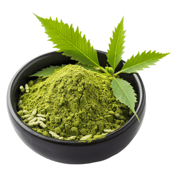 Aromatic Neem Powder in a Black Bowl with Fresh Neem Leaves png