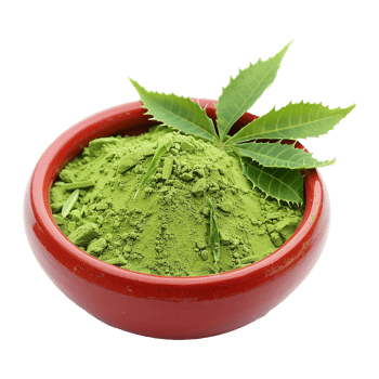 A Red Bowl of Neem Powder with Fresh Neem Leaves png
