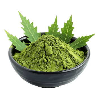 A Bowl of Neem Powder with Fresh Neem Leaves png