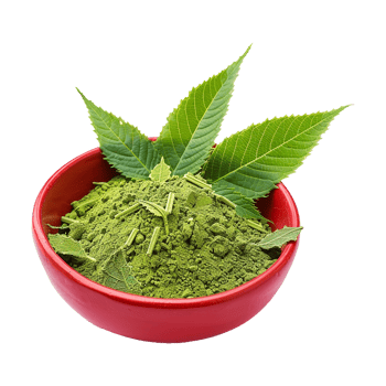 Fresh Green Henna Powder in a Red Bowl with Lush Green Leaves png
