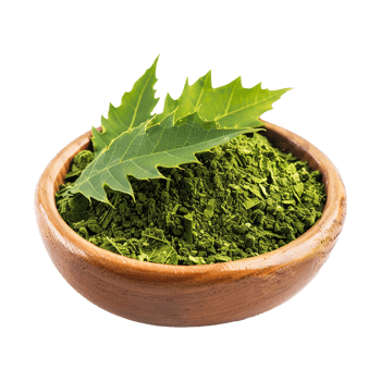 Organic Green Powder in Wooden Bowl with Fresh Leaves png