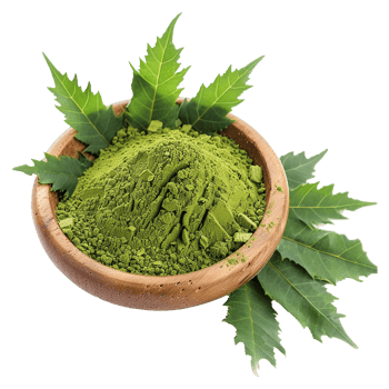 A Organic Neem Powder in Wooden Bowl with Fresh Neem Leaves png