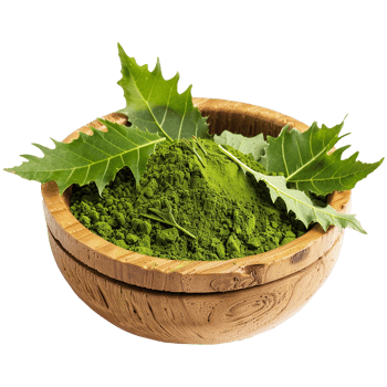 A Organic Green Herbal Powder in Wooden Bowl with Fresh Leaves png