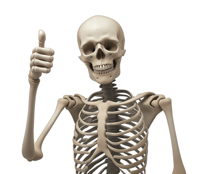 Anatomical skeleton giving positive thumb up transparent image. Smiling skull. Humorous anatomy isolated cutout 3d render. Skeletal gesture cut out clipart design element png