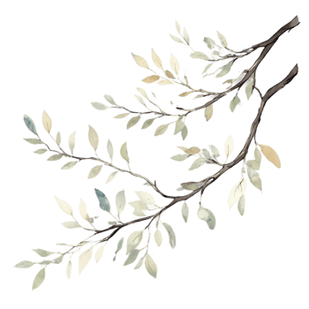 Elegant, fluid watercolor branches, with light brushstrokes creating a sense of movement and life within the tree's limbs. png