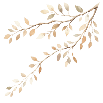 A watercolor tree branch with detailed, organic lines, featuring subtle washes of color to evoke a peaceful, natural feel. png