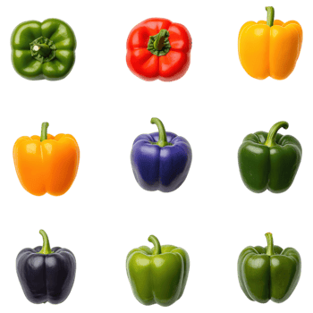 Colorful selection of bell pepper varieties arranged in grid, showcasing vibrant colors and fresh textures, perfect for culinary use. png