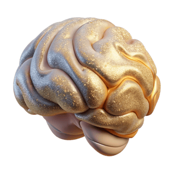 wonderful artistic Mri Scan Brain Image Medical Transparent Diagnostic Test professional png