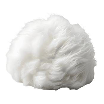 Soft White Wool Photograph On Transparent Background png