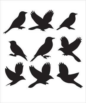 Birds silhouette set vector