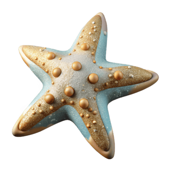 impressive creative Starfish Isolated Cutout for Beach Decor high resolution png