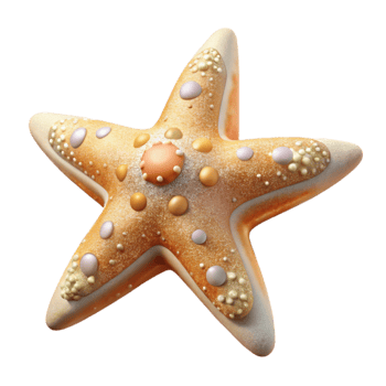 impressive classic Starfish Isolated Cutout for Beach Decor png