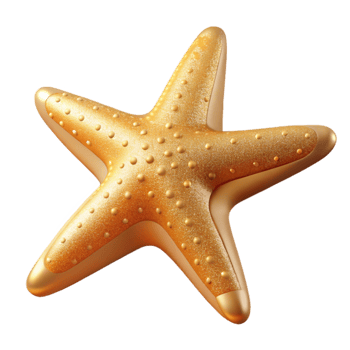 vibrant contemporary Starfish Silhouette Ocean Animal Isolated for Coastal Designs professional png