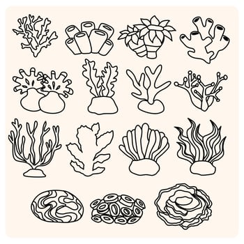 Hand drawn corals isolated on cream. Sketch drawing with doodle style vector