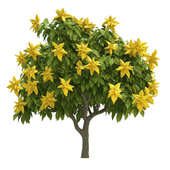 A vibrant tree with yellow flowers and green foliage displays png