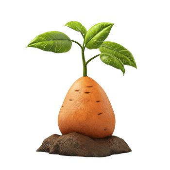A sprouting plant is emerging from the earth and root png