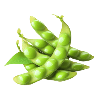 Several open green pods containing multiple bright green seeds isolated on transparent background png
