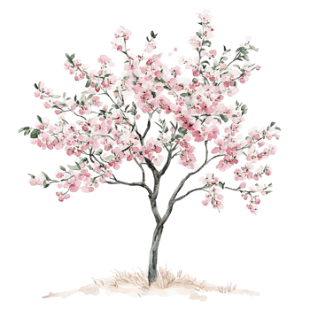A blooming pink blossom tree with delicate flowers and branches png