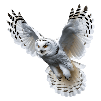 Graceful White Snowy Owl Soaring Perfect for Nature Lovers Decor png