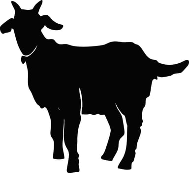 black silhouette goat illustration isolated on white background vector