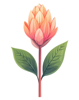 Pink Flower Illustration png