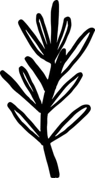 Rosemary doodle ink drawing culinary herb branch food illustration clipart for decor vector