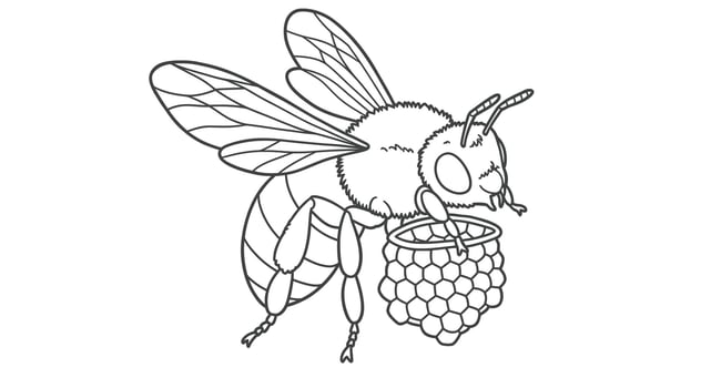 Bee coloring pages for kids vector
