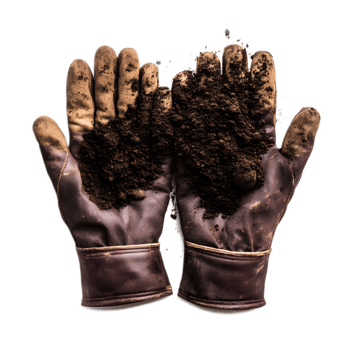 Worn and Dirty Gardening Gloves Covered in Soil and Mud After Hard Work in the Garden png