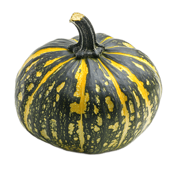 Ripe Autumn Pumpkin with Distinctive Stem png