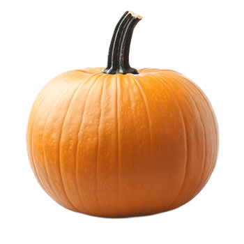 Ripe and Vibrant Orange Pumpkin with Sturdy Stem on White Background png