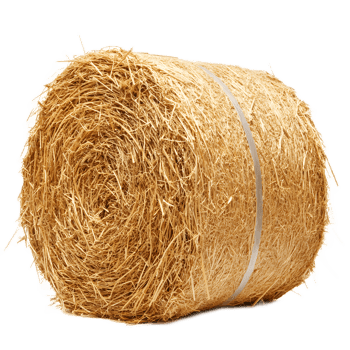 Dry Golden Hay Bale Bundle in Countryside Harvest Field png