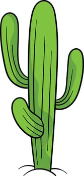 Saguaro cactus with multiple tall, green arms and vertical ridges vector