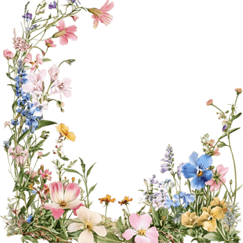Decorative Flower Border Transparent Background png