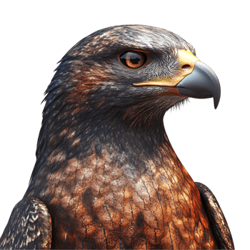 Majestic Eagle Flying Transparent Background png