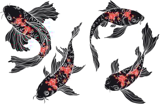 Black and red Koi carp set on white background, Chinese new year, fish for festival on backdrops, line art of koi fish vector