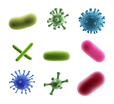 Viruses and bacterium in various shapes transparent image set. Medical science isolated cutouts 3d render. Microbiology virology cut outs cliparts design elements collection png