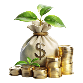 Sustainable Finance Illustration Featuring Coins and a Thriving Plant on a Clean Transparent Background png