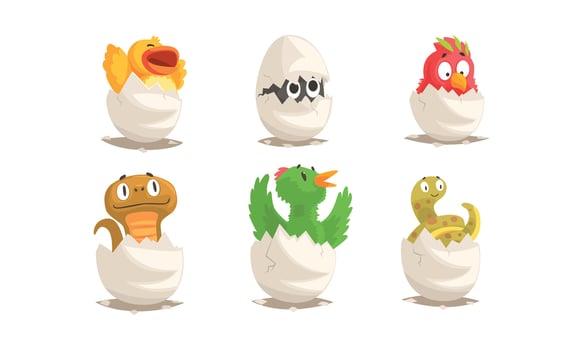 Cute Birds and Reptiles Hatching Set. Cartoon New Born Creatures Collection vector