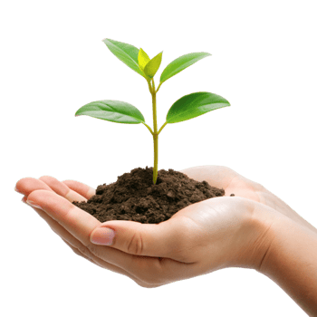 A Delicate Hand Gently Holding a Young Sprout Emerging from Dark Soil Against a Black Background png