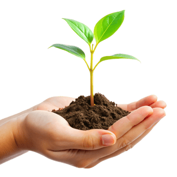 A small green plant seedling gently held in cupped hands against a black background representing growth nurture and care png