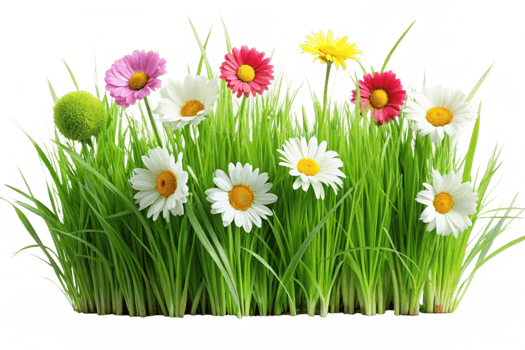 Spring Flowers Blooming in Lush Green Grass png