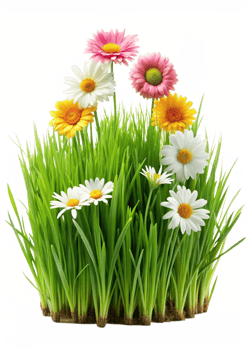 Vibrant Spring Flowers in Lush Green Grass a Stunning Floral Display png