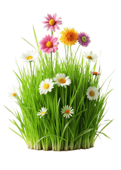 Vibrant Spring Flowers Blooming in Lush Green Grass a Delightful Floral Arrangement png
