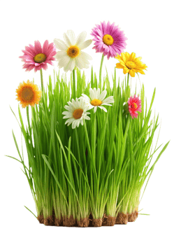 Vibrant Spring Flowers Blooming in Lush Green Grass a Delightful Scene of Nature png