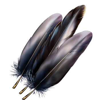 Collection of rk iridescent feathers a sleek elegant appearance png