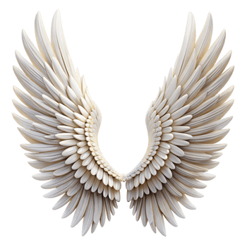 Pair of Elegant White Angelic Wings Isolated png
