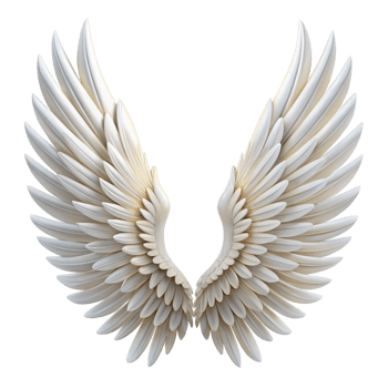 Closeup view of a pair of exquisitely detailed white angel wings, isolated on a black background, showcasing intricate feather textures and a sense of ethereal beauty png